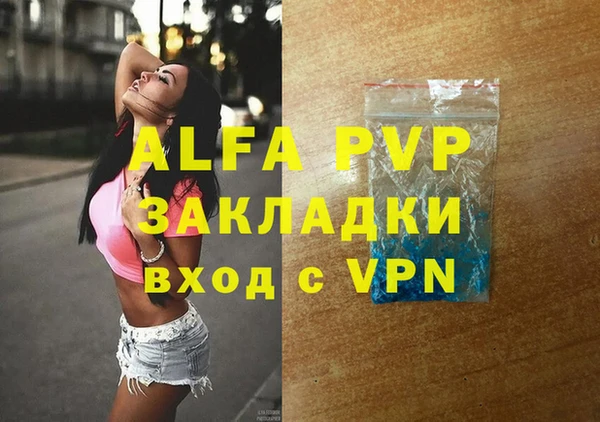сатива Магас