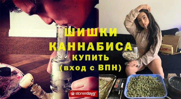 сатива Магас