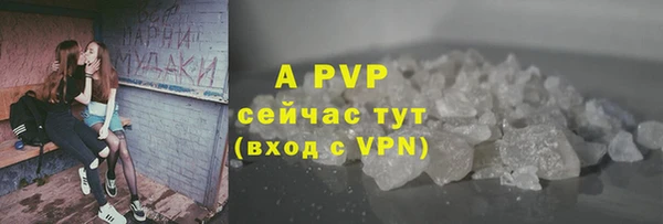 сатива Магас
