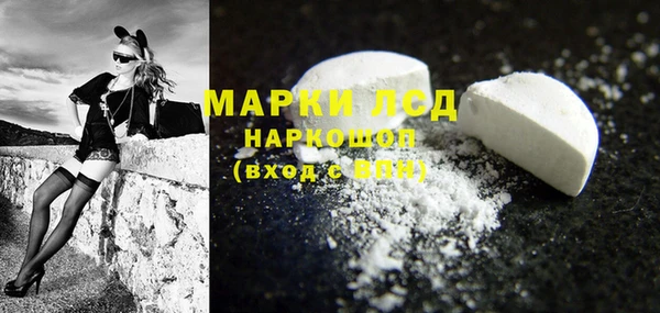 ПСИЛОЦИБИНОВЫЕ ГРИБЫ Абаза