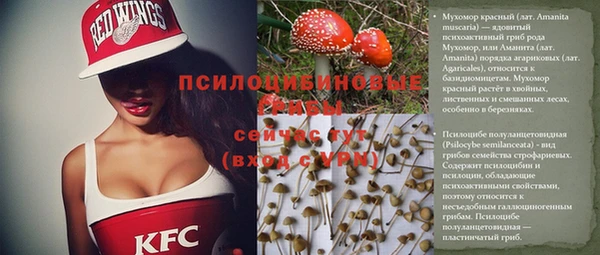 spice Майский