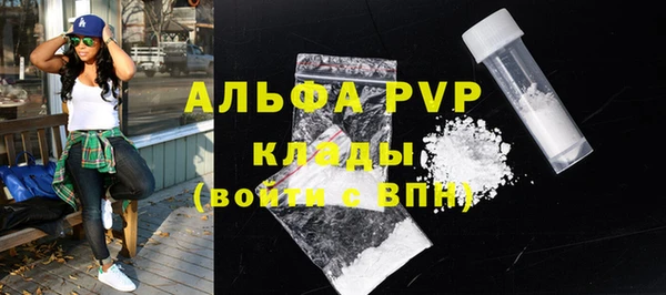 сатива Магас