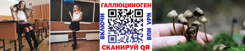 блэк спрут маркетплейс  Ногинск  Псилоцибиновые грибы мицелий 