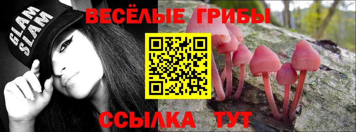 наркота  Вход с VPN  Галлюциногенные грибы Cubensis  Ногинск  Галлюциногенные грибы прущие грибы 